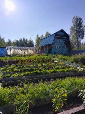 Продается садовый участок в СНТ Дачное