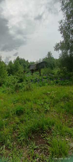 Новгородская обл., Мошенской муниципальный округ, д. Савино, 29