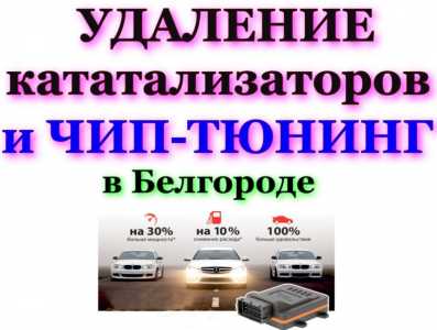Удаление катализаторов и чип-тюнинг
