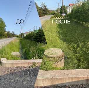 Спил деревьев. Спилить дерево. Покос травы. расчистка участка. Стрижка газона