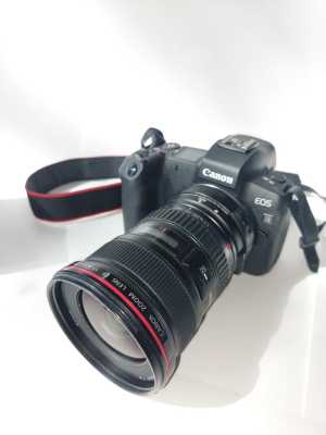 Системная фотокамера Canon EOS R Body
