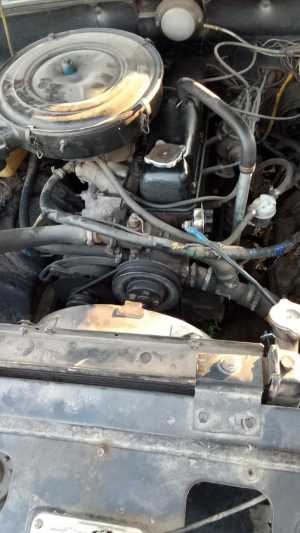 ��� 31029 �����, 1991