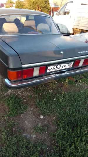 ГАЗ 31029 Волга, 1991