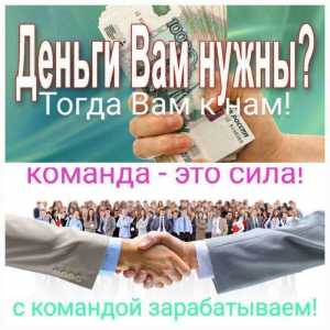 Котокод курс