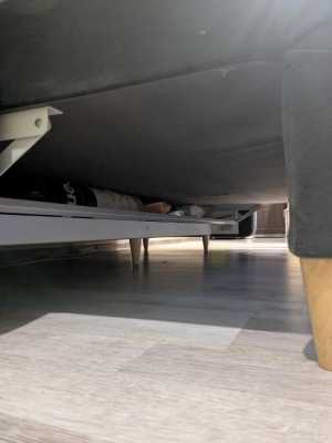 ����� ������ BOSS 2.0 SKANDY ����������