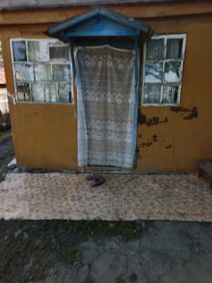 ��� 64,8��, �
