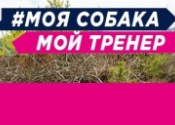 ZooProStore - интернет-магазин товаров для животных и туризма