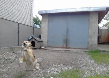 Ухоженный дом от одного хозяина срочно продам