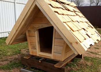 будка для собак