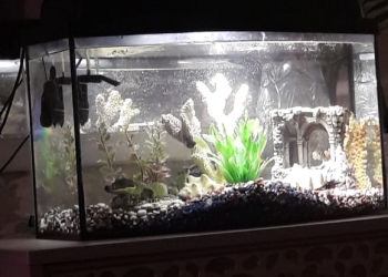 Аквариум 60 литров