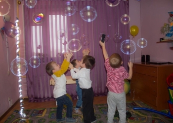 Частный домашний мини-сад