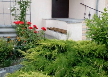 Продам жилой дом в Беларуси