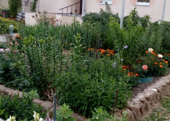 Продам жилой дом в Беларуси