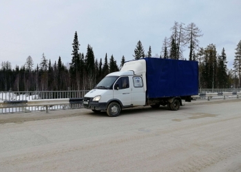 Грузоперевозки газель грузчики переезды