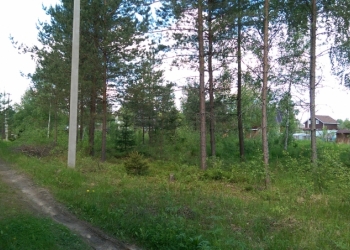 Продам 2 участка по 8 соток в Конаковском районе Тверской области