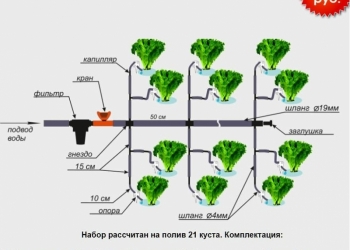 капельный полив Кошелева "Кап и каП". запатентиповано