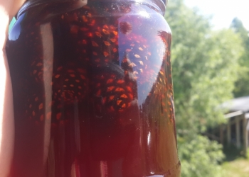 Варенье из сосновой шишки