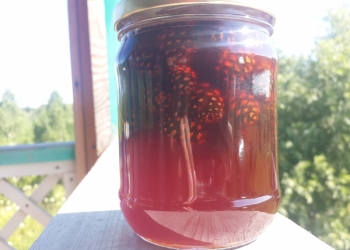 Варенье из сосновой шишки