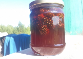 Варенье из сосновой шишки