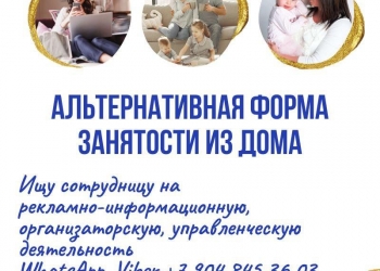 АЛЬТЕРНАТИВНАЯ ФОРМА ЗАНЯТОСТИ ИЗ ДОМА