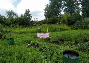 Продам дачу СНТ "Восток" Советский р-н