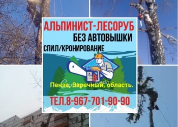 Спил деревьев