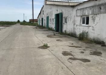 Сельхопредприятия