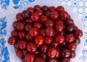Продаётся вишня