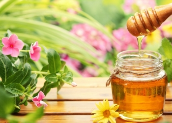 Мёд липовый