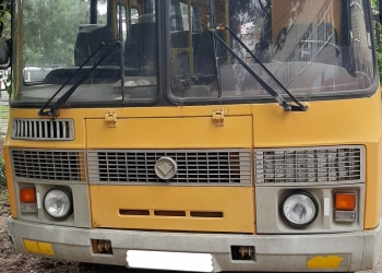 Паз 32053-70 (2009 год, бензин)