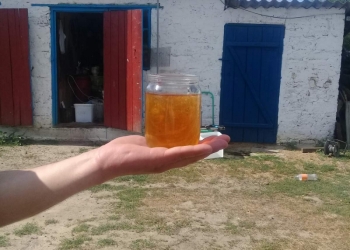 Продам акацию 2020
