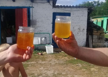 Продам акацию 2020