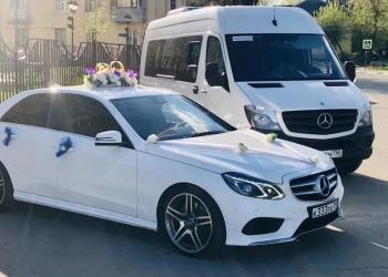 Аренда автомобилей и автобусов, организация праздников