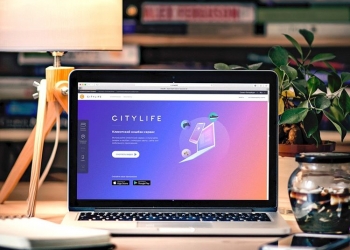 Франшиза IT компании City Life