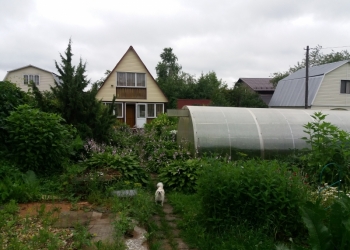 Дача 500 м2 Продам.
