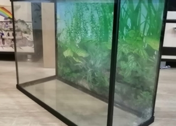 Аквариум для рыбок