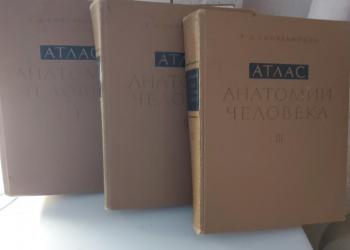 Атлас анатомии человека в 3 томах. Синельников