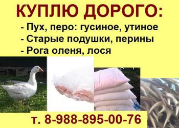 Куплю дорого