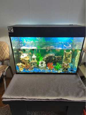 Аквариум 120л