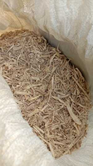 Продам корень и щепу элеутерококк