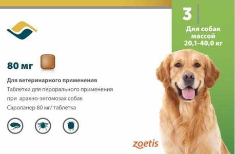 Обработка собак от блох и клещей Симпарика