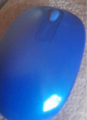 Домашняя мышь