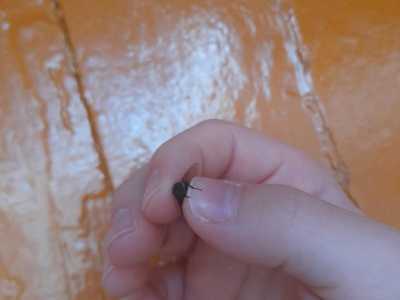 Муха Наталья