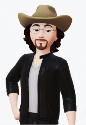 Заберу котят породистых