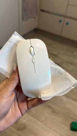 Компьютерная мышка