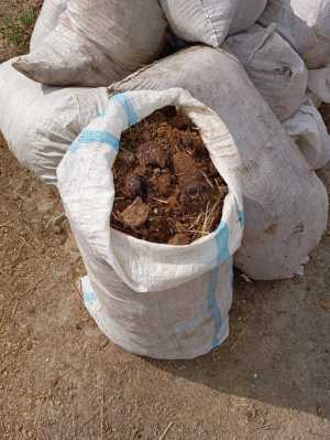 Конский навоз