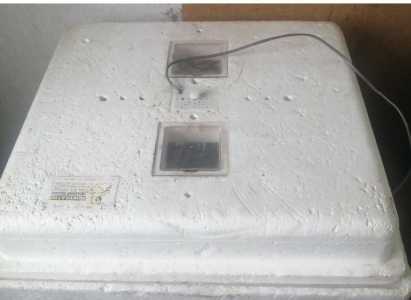 Продам инкубатор