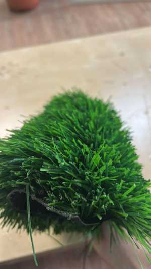   BELLINTURF