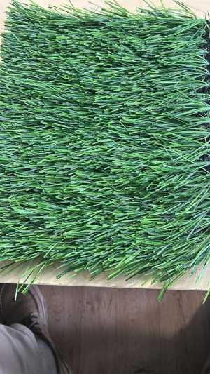   BELLINTURF