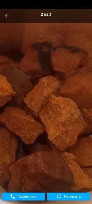 ЧАГА березовая лечебная